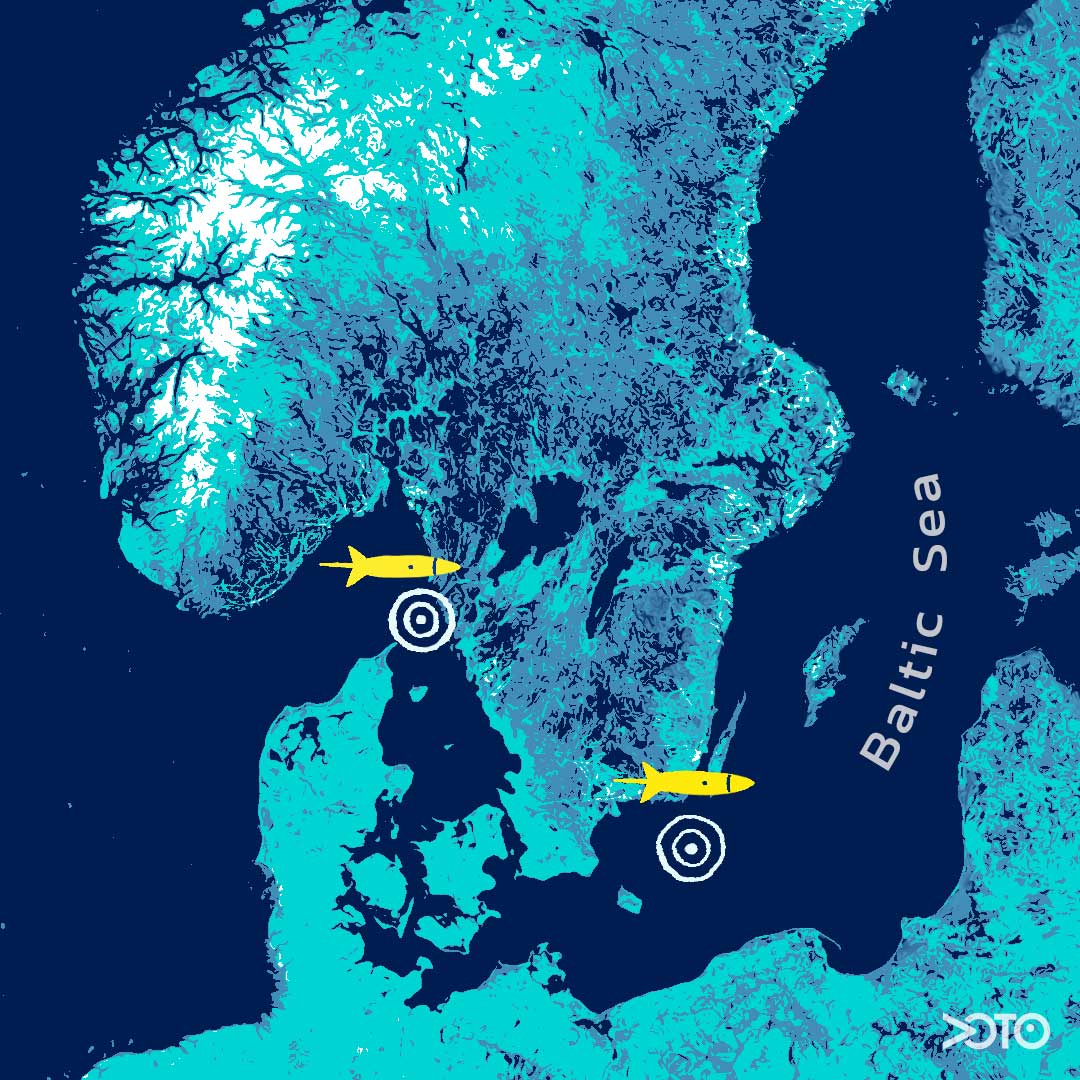 Autonomous ocean observatories in the Baltic Sea