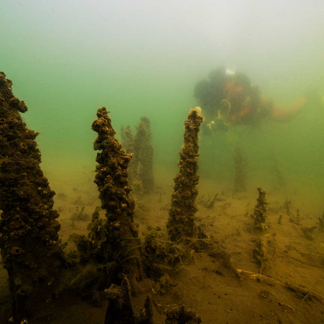 Mysterious underwater barriers in Blekinge