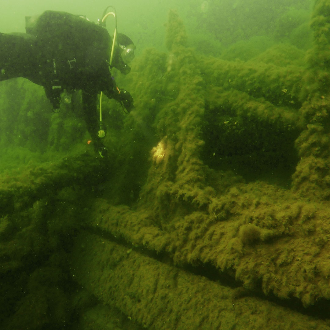 The Elephant shipwreck contributes to new knowledge