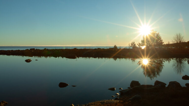 Ocean Support - Voice of the Ocean