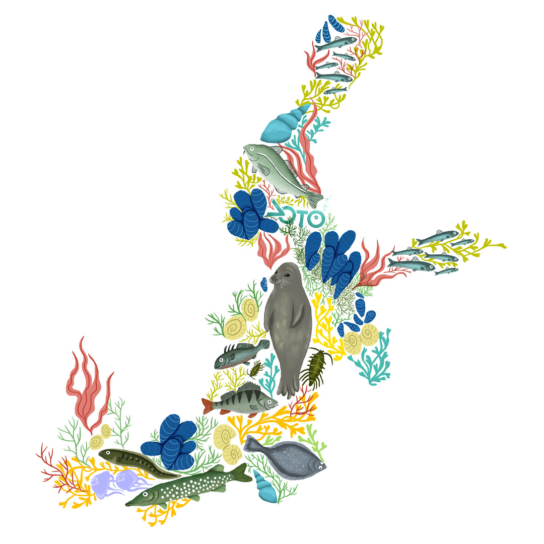 Baltic Sea biodiversity – it is time to bring back the balance