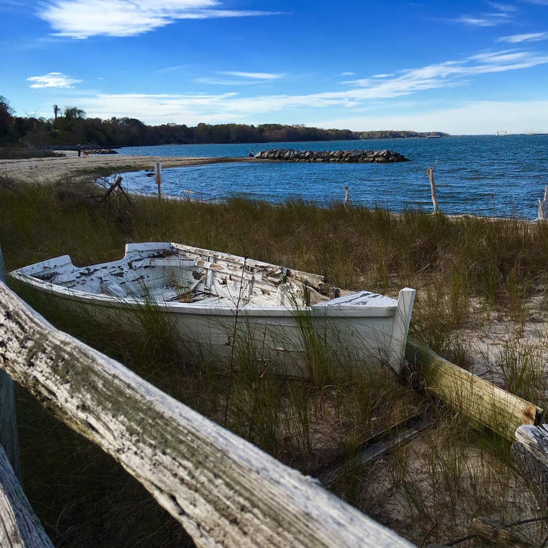 Sea Change – the littoral environment
