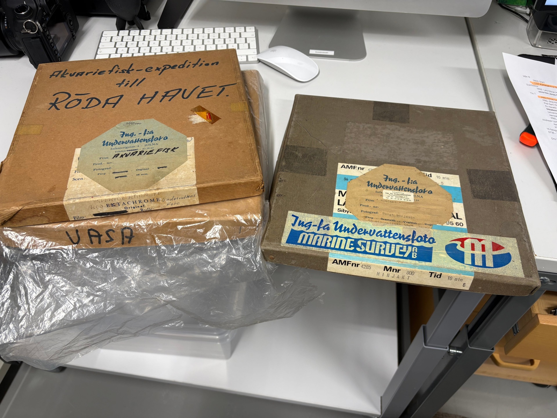Ocean Archive receives major donation of early Swedish underwater film history