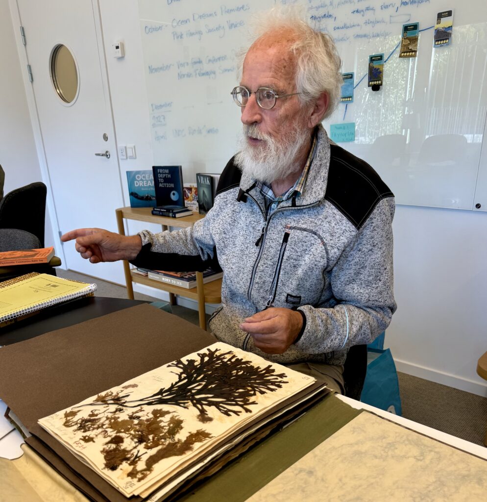 Nils Kautsky and Mats Waerns herbarium speciemn