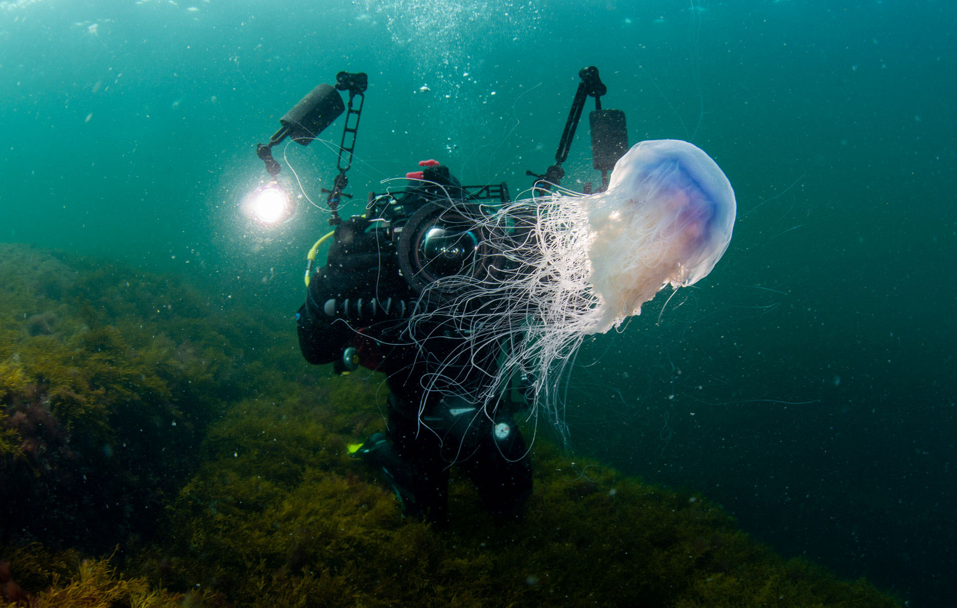 Eyes in the Ocean, Ocean Science