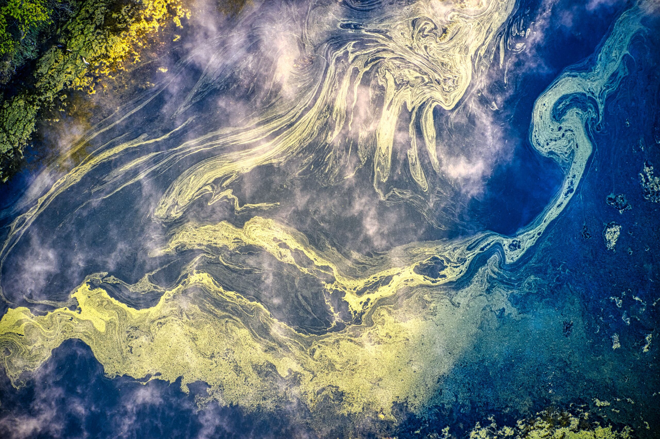 Crisis in the Baltic: The sea that is losing its breath